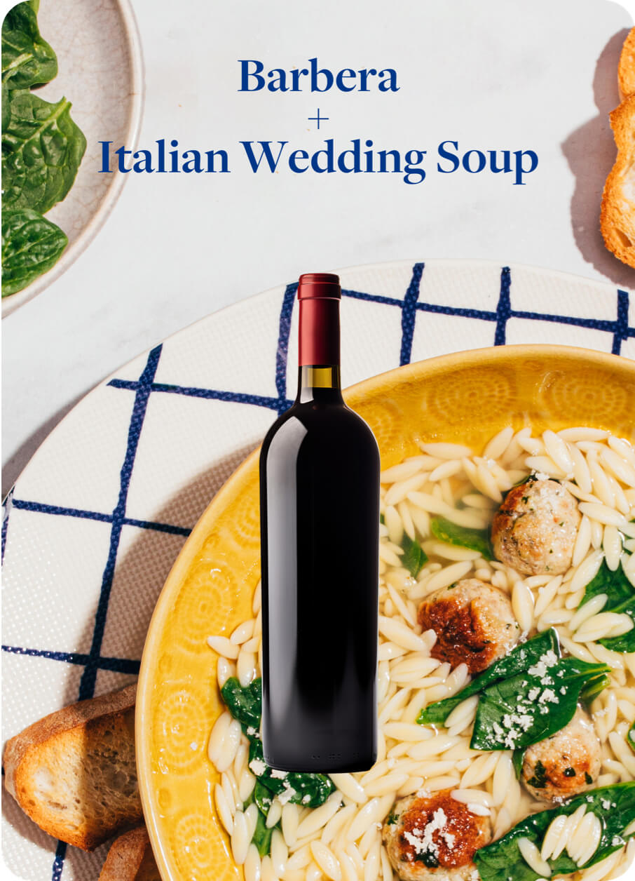 Barbera Wine Paired With Italian Wedding Soup Dish