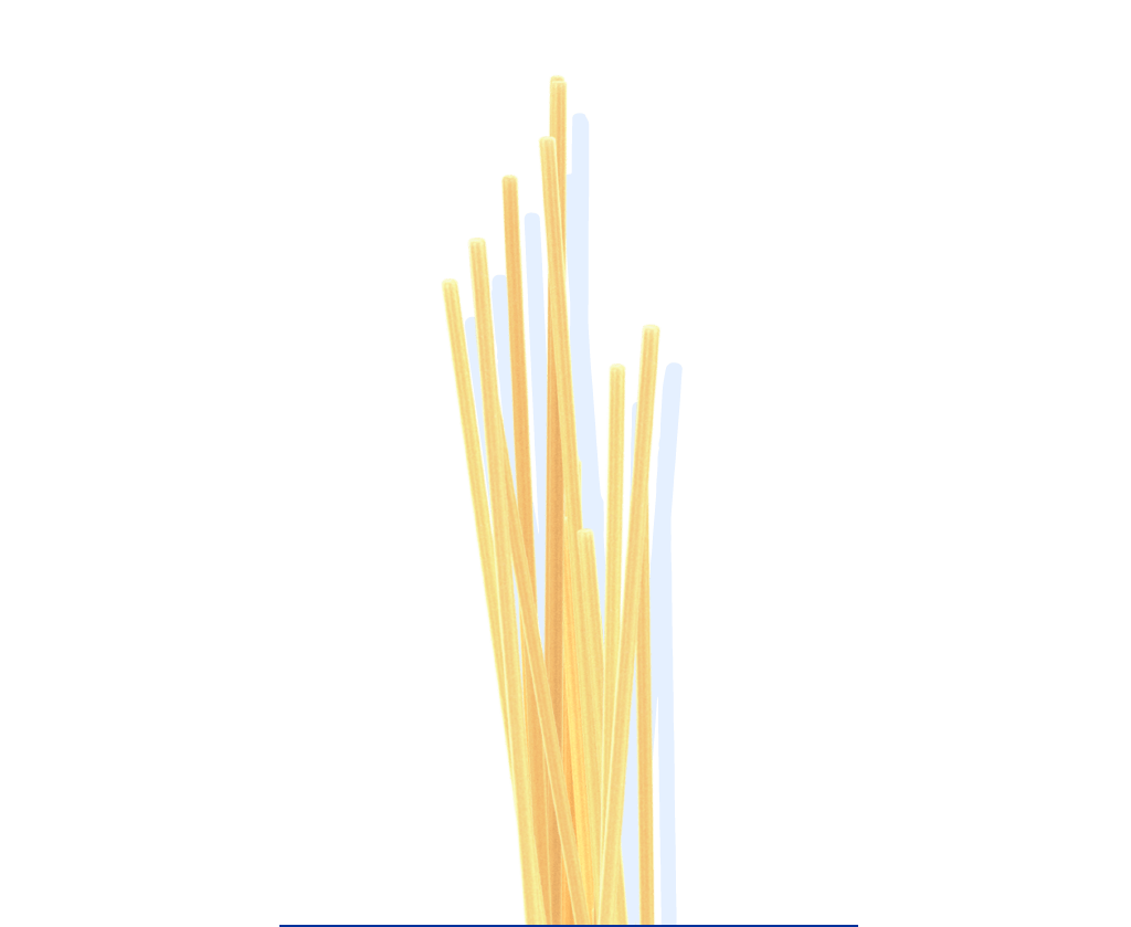 diagrammatic drawing of capellini pasta
