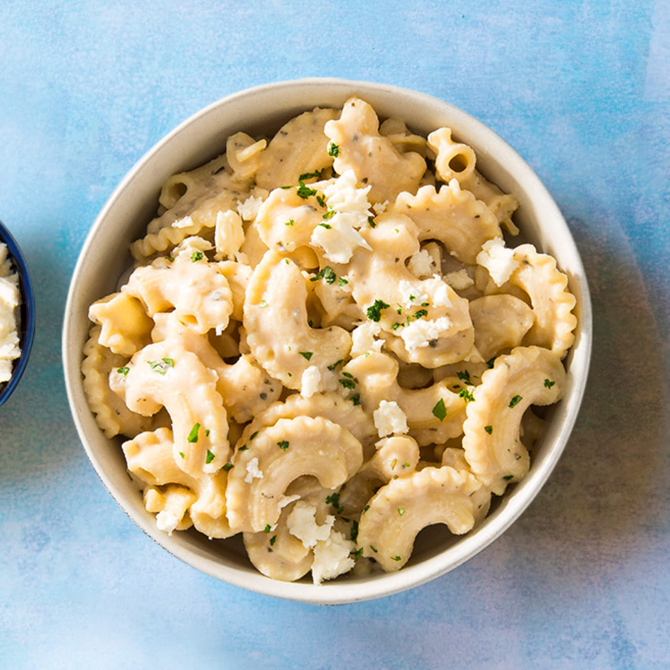 bowl of creamy creste di gallo pasta with tangy cheese and herbs